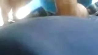 وقحة مع ضخمة الثدي الملاعين مع سكسي ديوث مترجم صديقها.