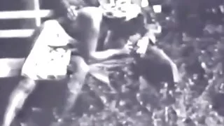 دروش سكسي مترجم حيوانات