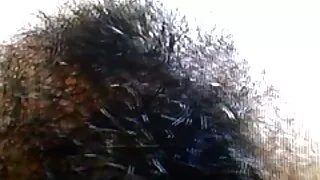 أدركت الأخوات أن اللعق والتشطيب كان أجمل من الجدال. سكسي اجنبي محارم