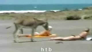 فتح رجلان صاحب العمل. افلام سكسي اجنب